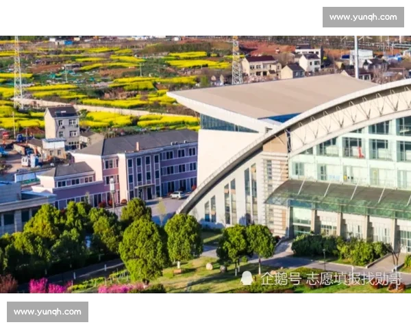 萨巴伦卡为 “你赢非因实力” 言论致歉高芙